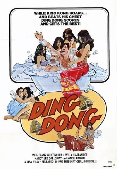 Ding Dong (1995) постер