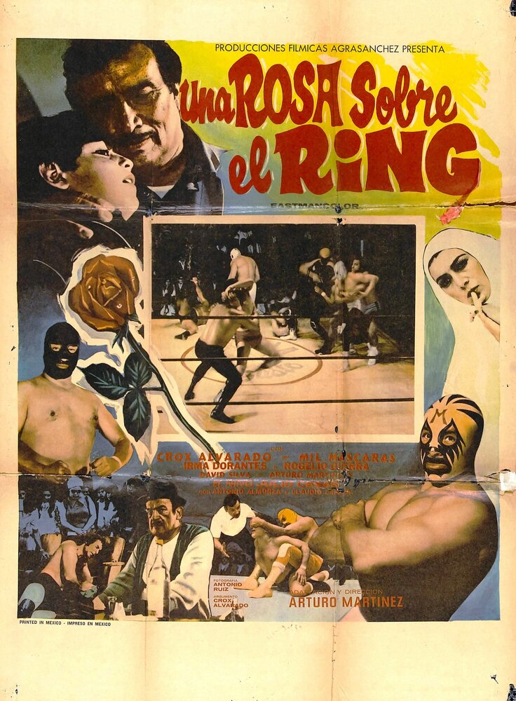 Una rosa sobre el ring (1973) постер