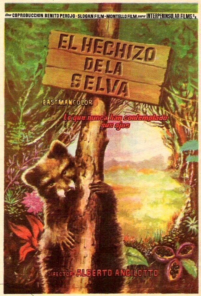 L'incanto della foresta (1957) постер