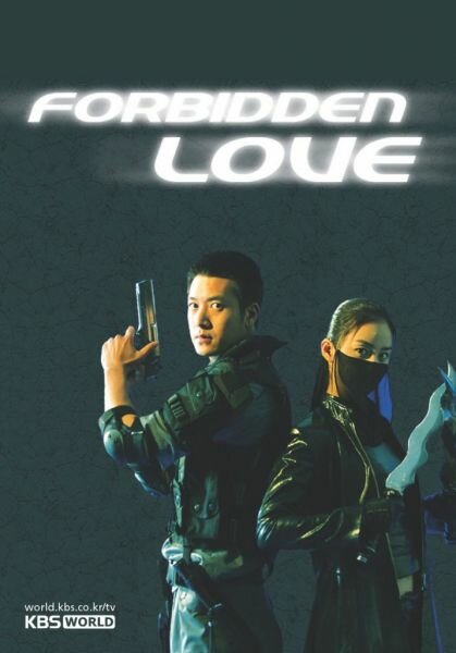 Запретная любовь (2004) постер