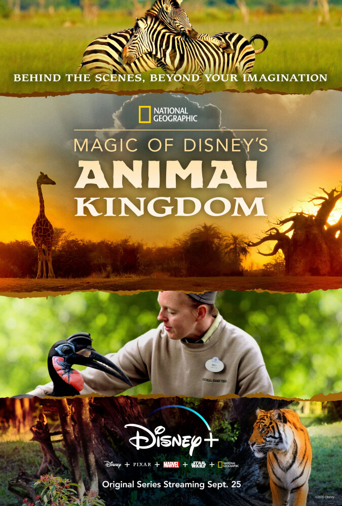 Magic of Disney's Animal Kingdom (2020) постер