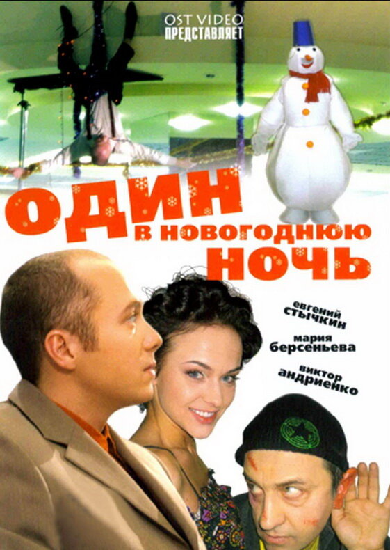 Один в новогоднюю ночь (2006) постер