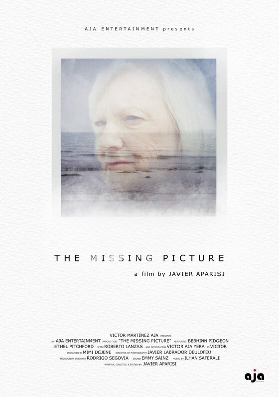 The Missing Picture (2019) постер