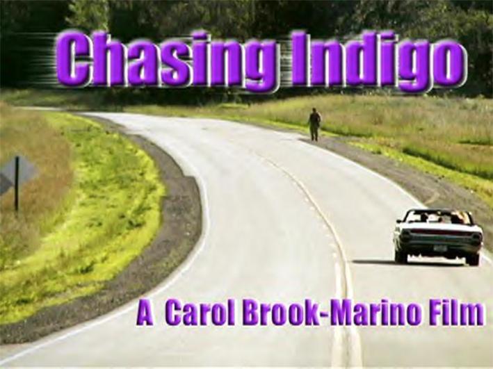 Chasing Indigo (2000) постер