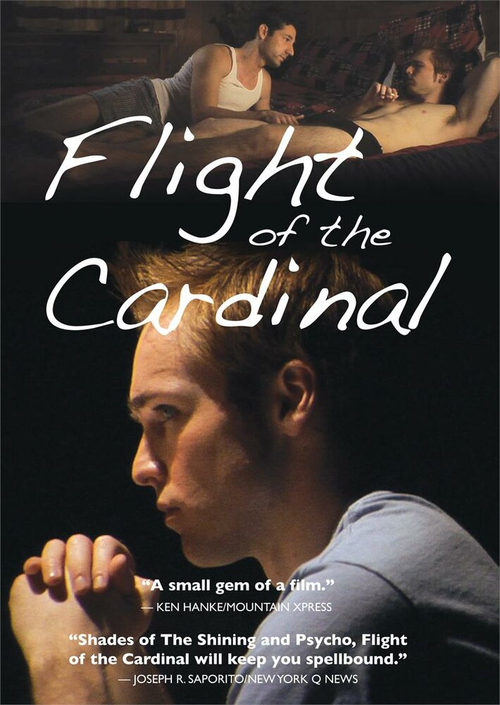 Полёт кардинала (2010) постер