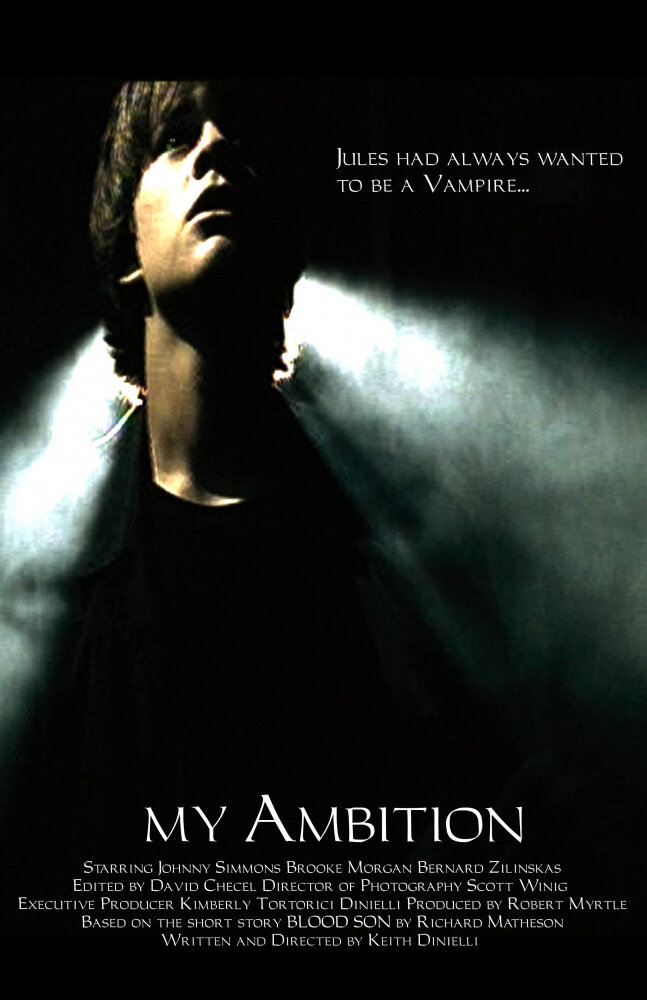 Моя цель (2006) постер