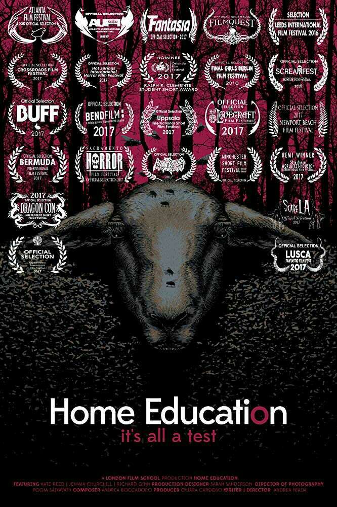 Домашнее обучение (2016) постер