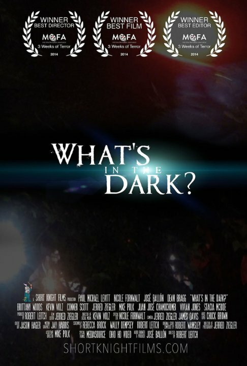 What's in the Dark? (2014) постер