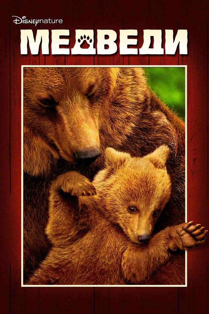 Медведи (2014) постер