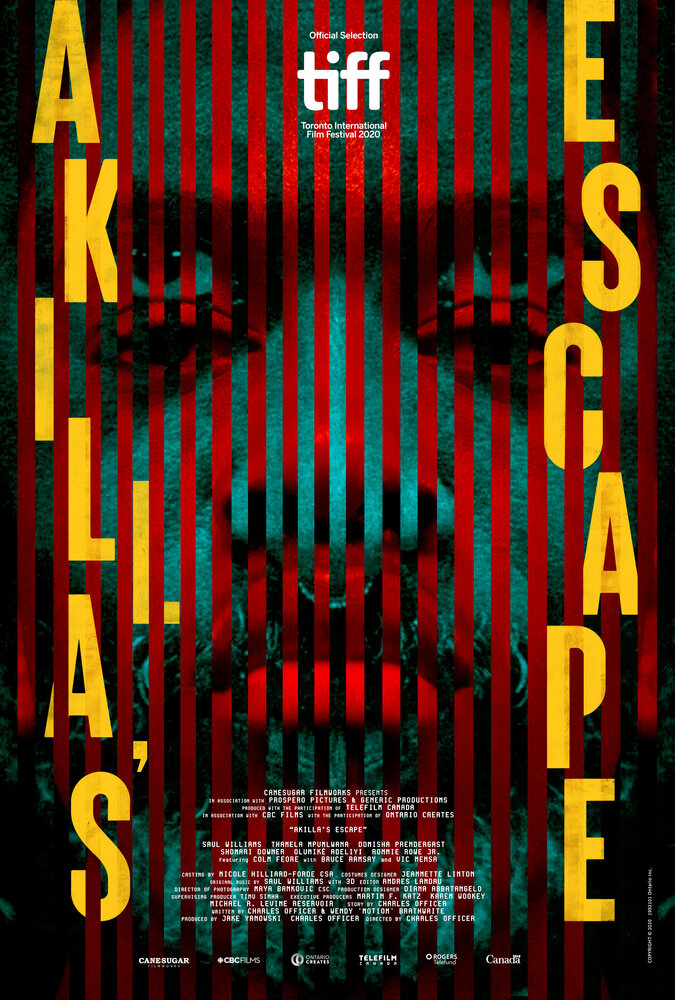 Akilla's Escape (2020) постер