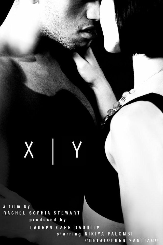 Xy (2013) постер
