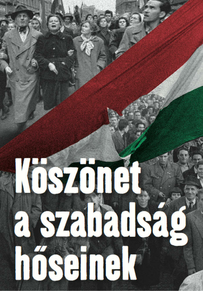 Köszönet a szabadság höseinek (2006) постер