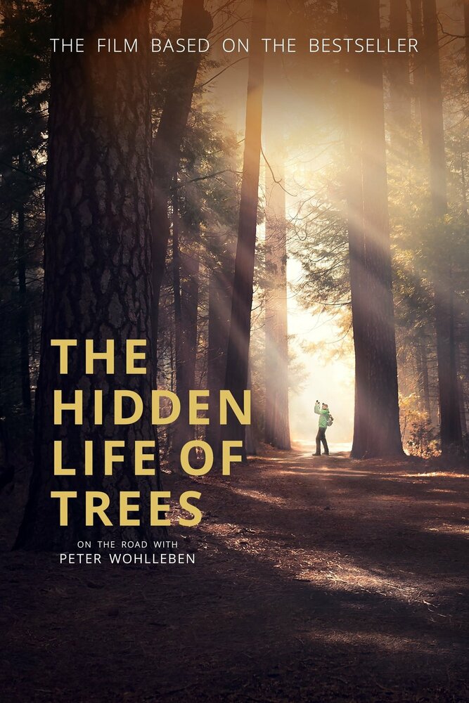 Тайная жизнь деревьев (2020) постер