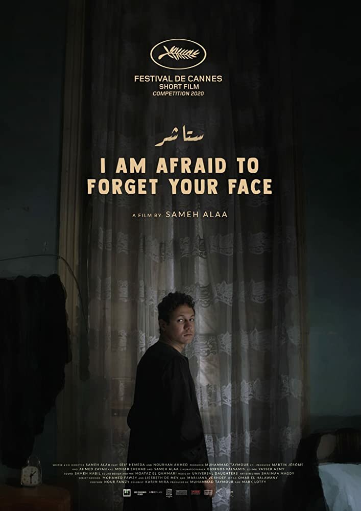 Боюсь забыть твое лицо (2020) постер