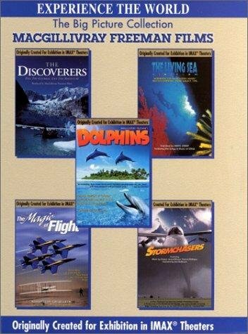Dolphins: The Ride (1997) постер