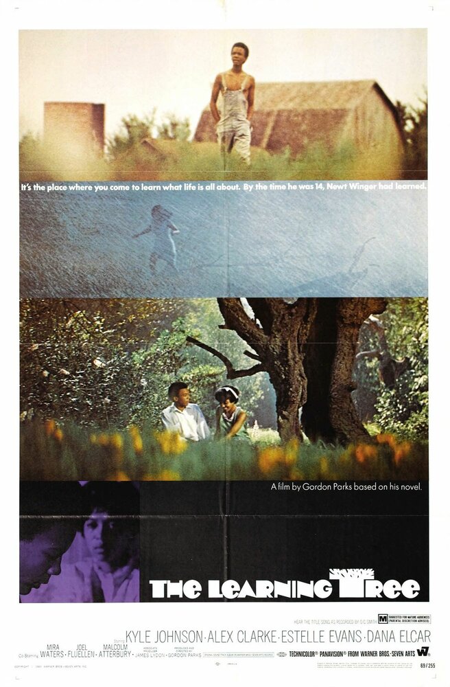 Дерево науки (1969) постер