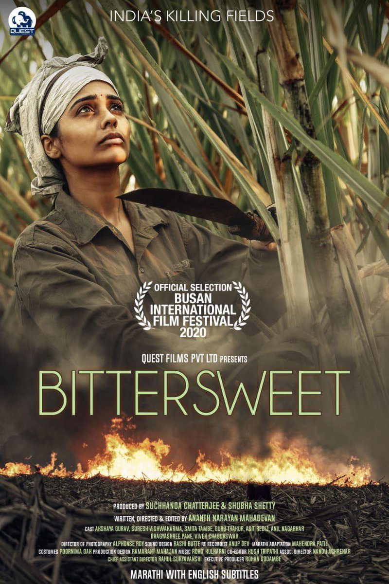Bittersweet (2020) постер