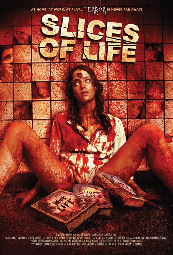 Кусочки жизни (2010) постер