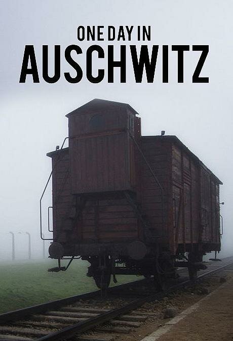 Один день в Освенциме (2015) постер