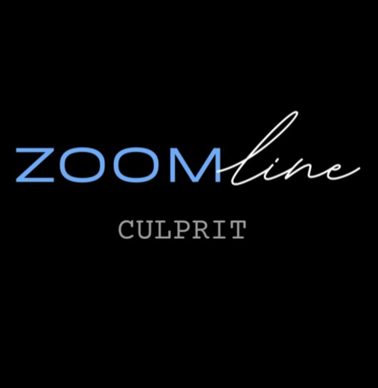 Zoomline Culprit (2020) постер