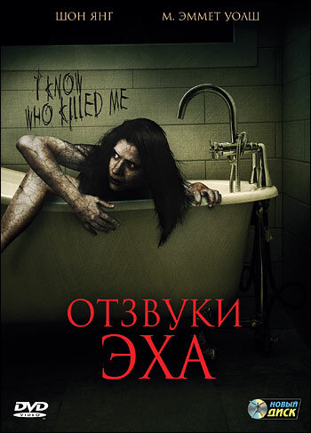 Отзвуки эха (2008) постер
