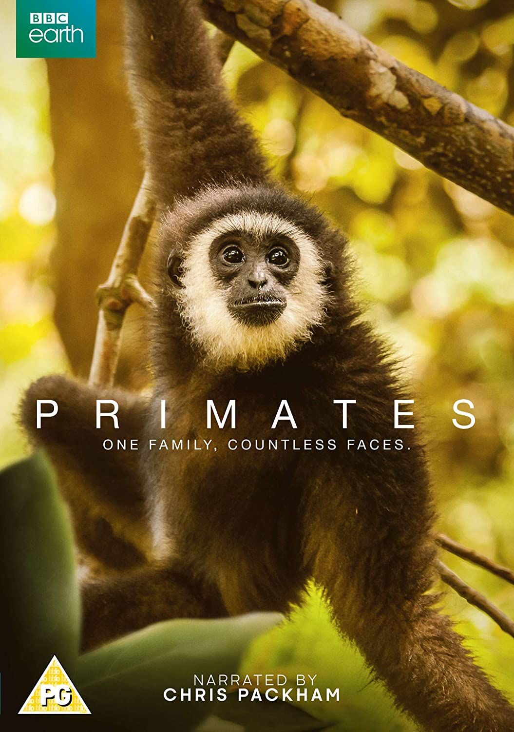 Приматы (2020) постер