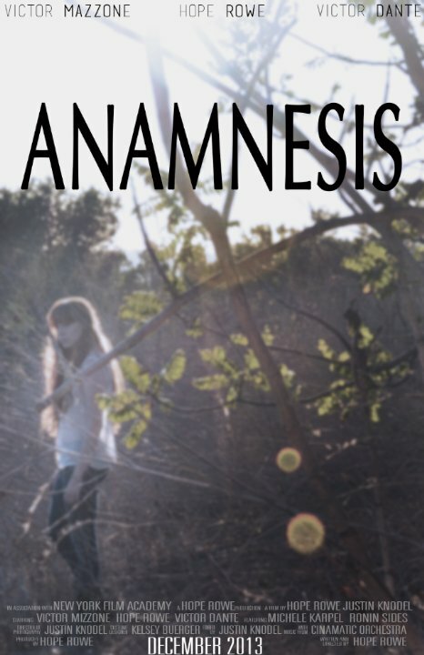 Anamnesis (2014) постер