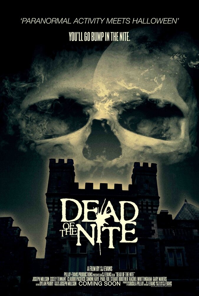 Dead of the Nite (2013) постер