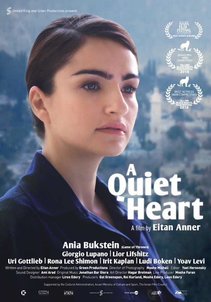 Тихое сердце (2016) постер